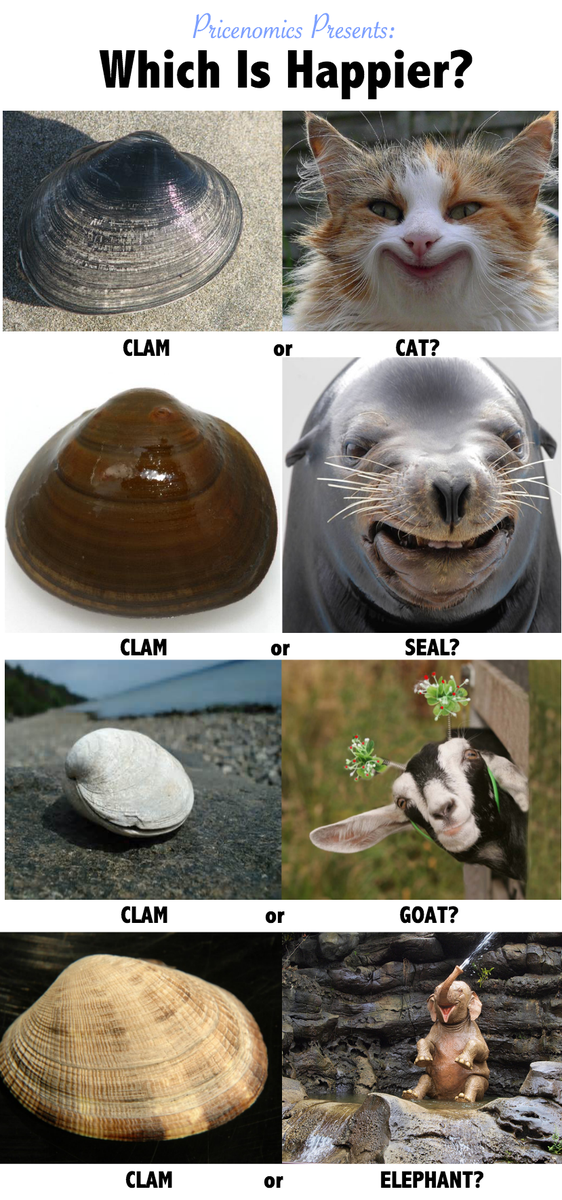 Why Are Clams so Damn Happy?