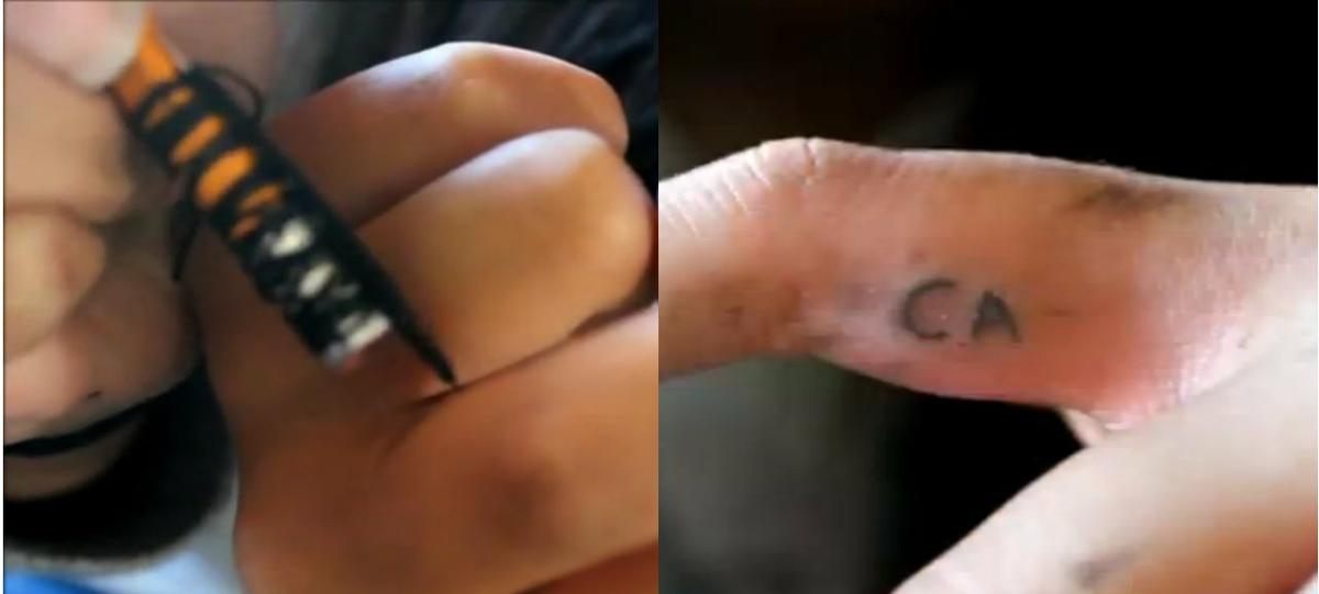 The Biology Teacher With a DIY Tattoo Kit Business